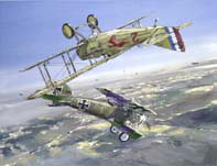 http://www.flyandrive.com/images/guyem.J